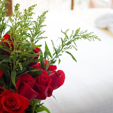 Ilalo Garden Hotel & Restaurant كويتو المظهر الخارجي الصورة