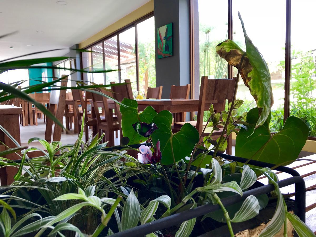 Ilalo Garden Hotel & Restaurant كويتو المظهر الخارجي الصورة