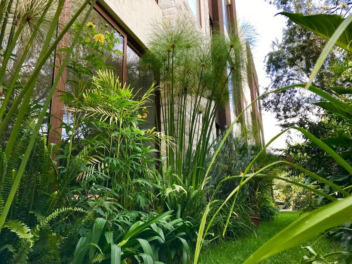 Ilalo Garden Hotel & Restaurant كويتو المظهر الخارجي الصورة